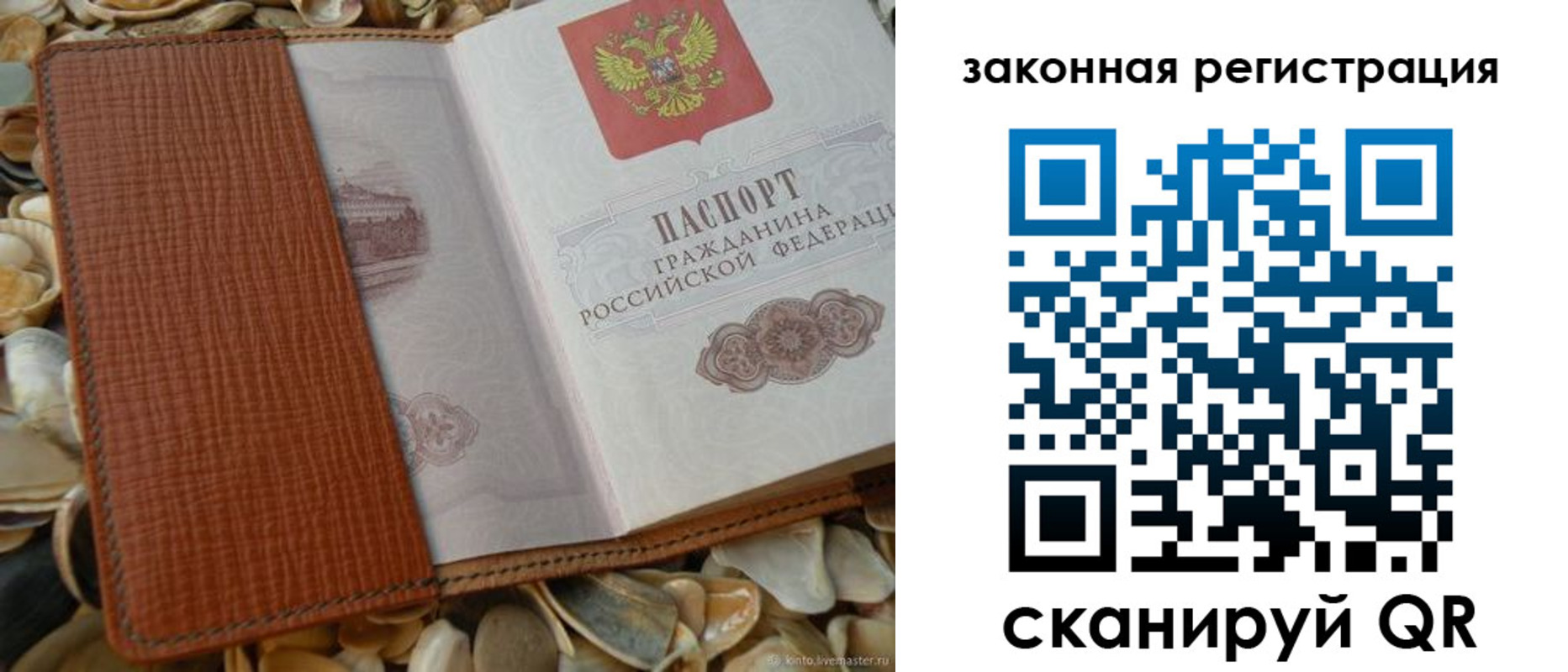 прописка паспорт в Вологодской области